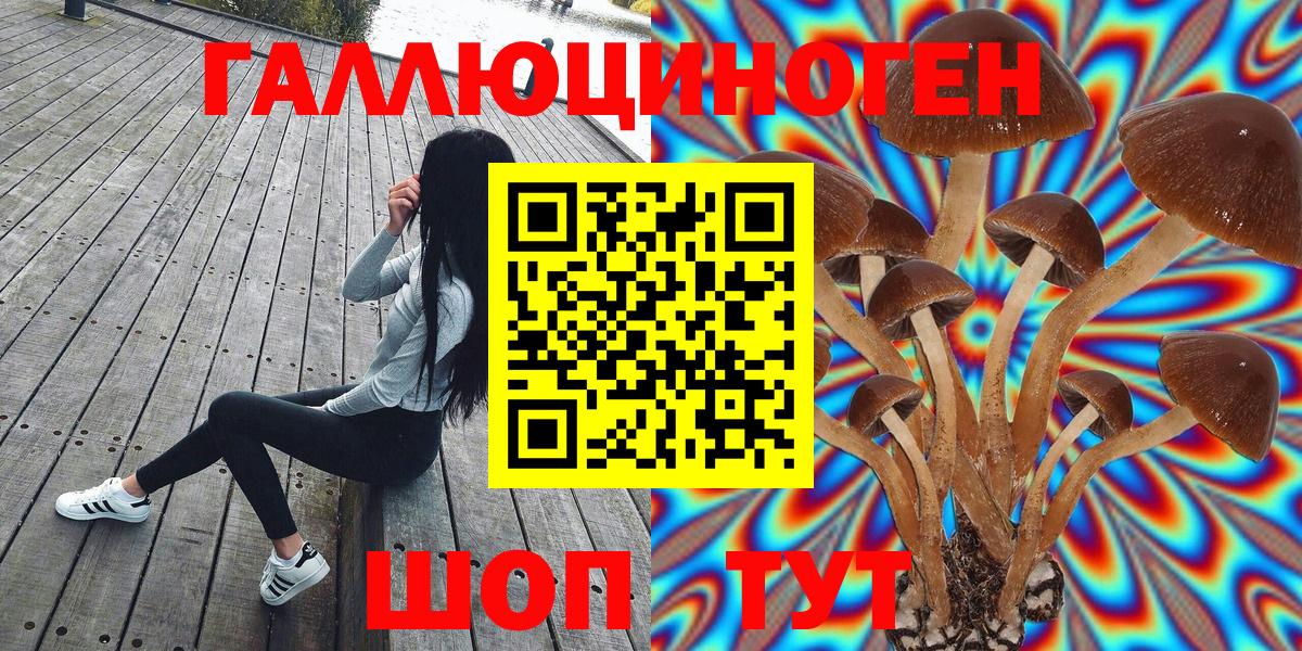что такое наркотик  Вход с VPN  Галлюциногенные грибы GOLDEN TEACHER  Лабинск  Галлюциногенные грибы Psilocybe 